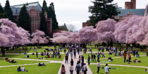 University of Washington-FT-1200-600